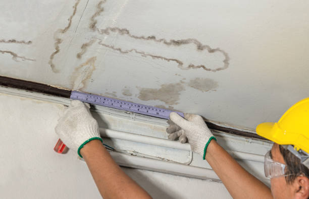 Reliable Water Damage contractor in Paso Robles, CA by Water Damage Irwin